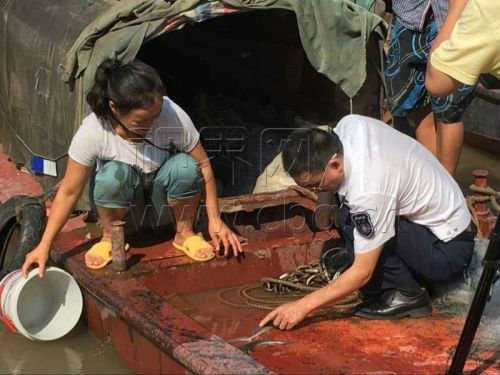 渔民捕捞两条野生中华鲟 当即放归长江