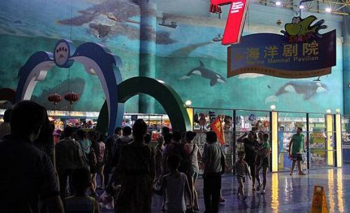 郭林家常菜_郭林家常菜人均消费