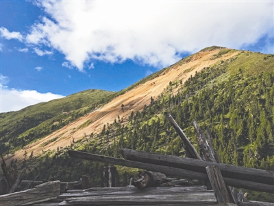 矿业侵蚀香格里拉原始森林 大面积植被消失殆尽