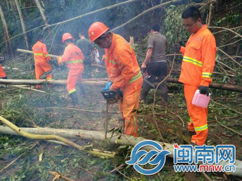 长泰公路分局工作人员清理倒伏路树