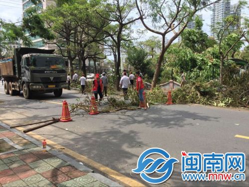 厦门常明路因清理路障暂时禁止车辆通行