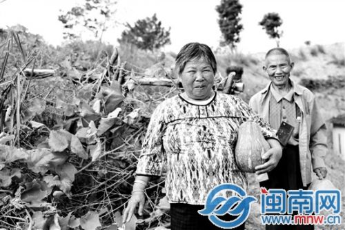 勤劳的老两口在屋前院后种了很多菜