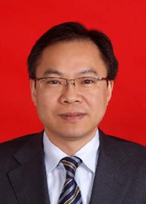 陈金山任沙坪坝区代理区长