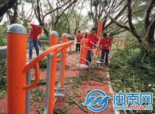 臺風過后,鋼宇集團組織突擊隊維修和清理鋼宇安裝的戶外運動器材