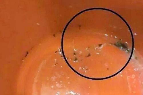 三年级男生被逼吃铅笔芯