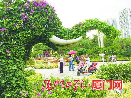 厦门市花三角梅30周年成果展 四万盆三角梅等您来