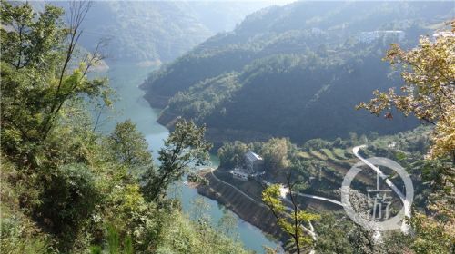 城口巫溪村道大不同！水泥路开进大巴山森林人