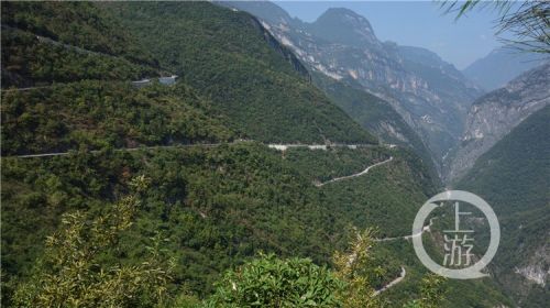 城口巫溪村道大不同！水泥路开进大巴山森林人