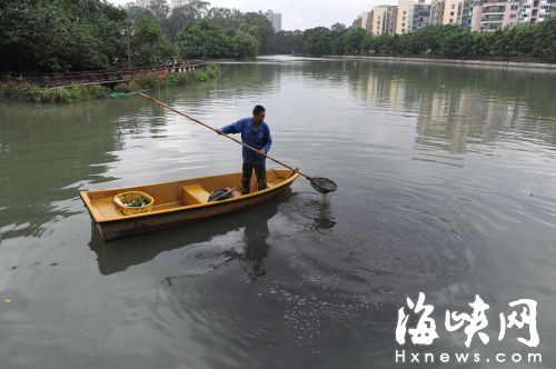 经过一天的清理，湖面基本恢复干净