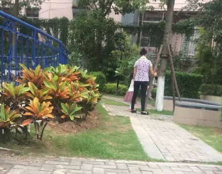 厦门一奶奶竟教孙女虐狗