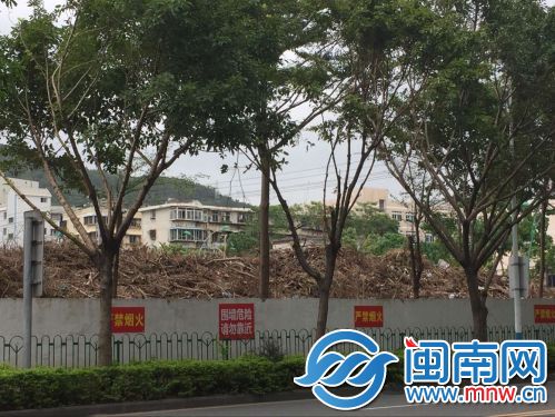 厦门市体育路海西汽配城断枝临时堆放点