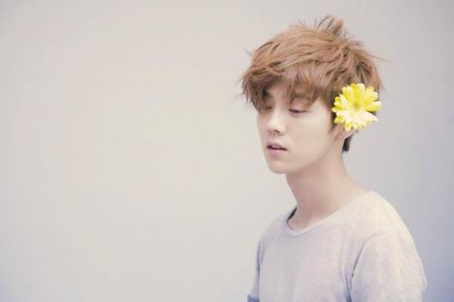 吴亦凡鹿晗杨洋等小鲜肉代言费惊人,黄渤等实