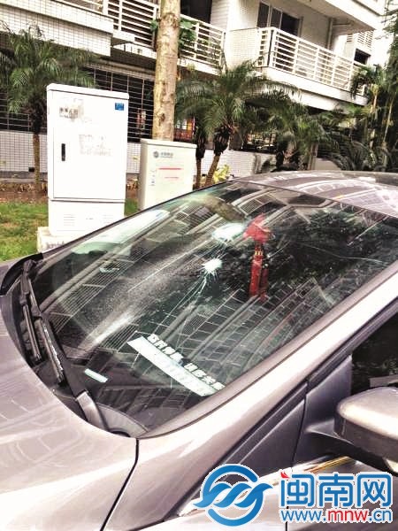 警方称，小区共11辆小车被砸（居民供图）
