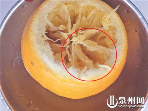 橙子加盐蒸 竟然蒸出数条虫......