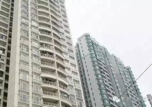 深圳“鸽笼房”被罚60万 