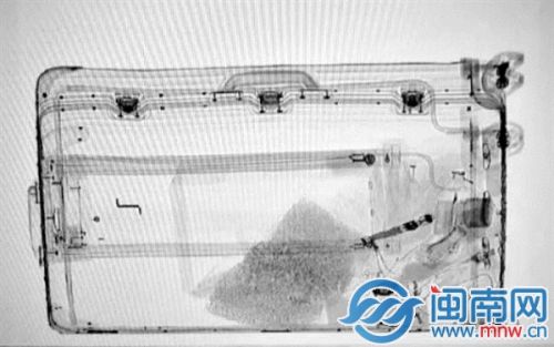 陈女士行李的X光照片