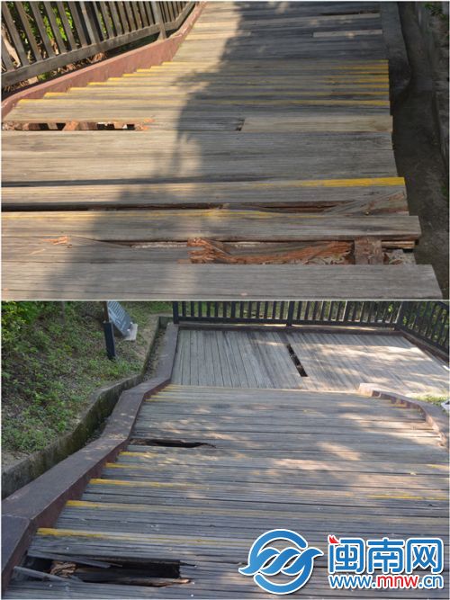 在幽美的公园环境下，破损的木栈道极为显眼。
