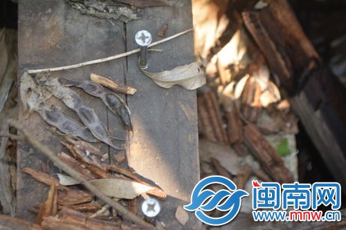 铁钉裸露在路面，存在安全隐患。