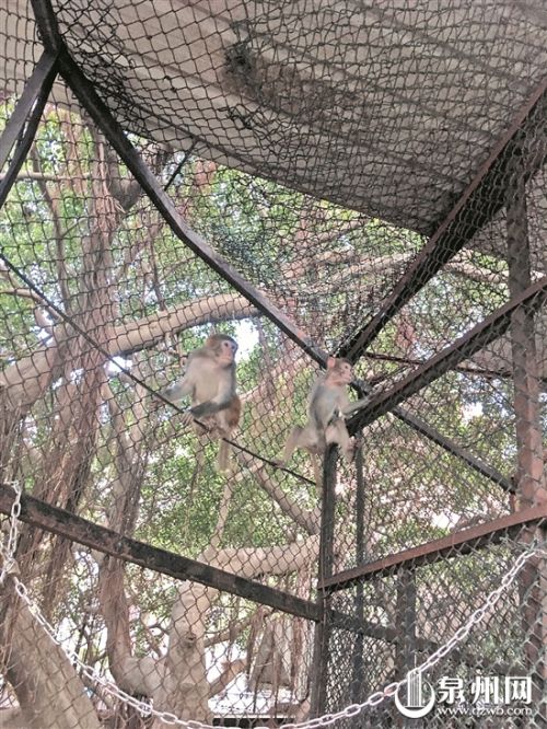 与刚认识的小伙伴相处不错