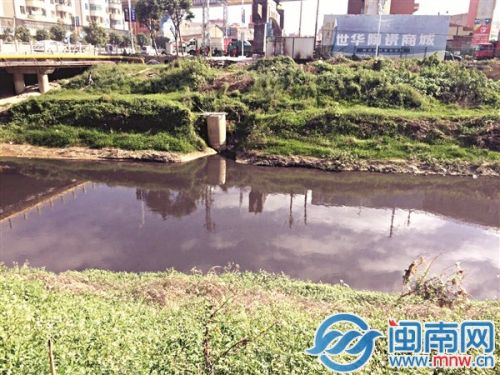 11月4日、5日，九十九溪晋江磁灶钱坡段，溪水分别呈现黑色和白色状（苏女士供图）1