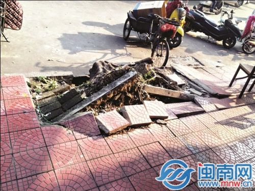 绿化未补植，既影响美观又存在安全隐患