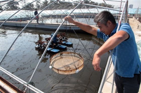 125657_k09gyx02 副本_b