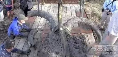 一四肢下去挖到宝:死于12000大陆锄头被人食年前国产在线视频精品图片