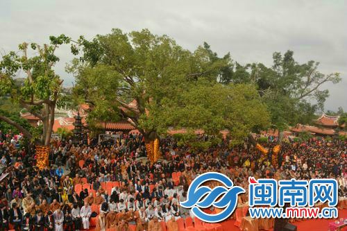 1479975609870063658.jpg 现场人山人海,热闹非凡。.jpg