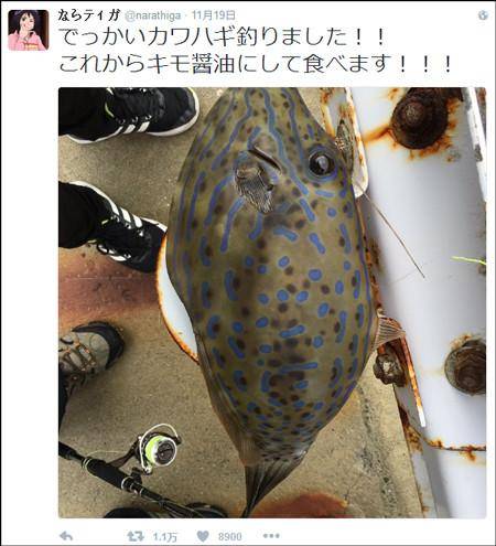 惊呆！吃鱼前晒照捡回命 内脏含有毒性五十倍于河豚