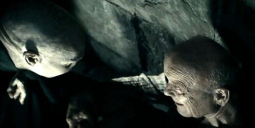 《哈利波特》未解的谜 你可以从《神奇动物》