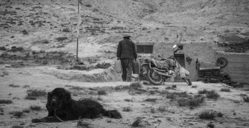 藏语电影《塔洛》藏人身份追问 塔的独特看过