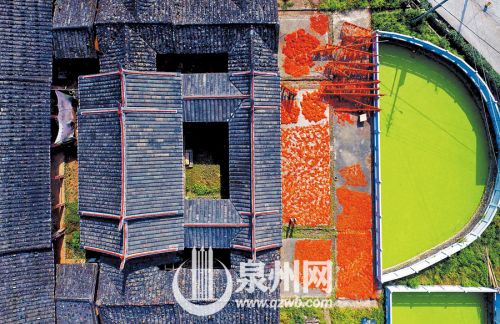 航拍:安溪光德满村晒柿人家尽是“黄金屋” 航拍:安溪光德满村晒柿人家尽是“黄金屋”
