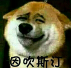 因吹斯汀是什么意思啥梗怎么来的?因吹斯汀表情包大全-闽南网