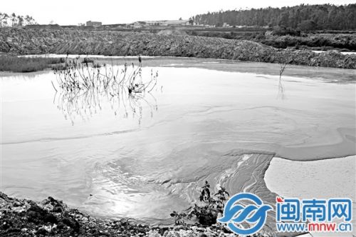 经过一段时间的违法倾倒，石渣水已形成了一个小池