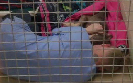 流浪狗进收容所超害怕 女员工陪睡安抚