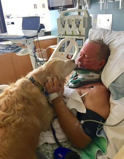 狗为摔瘫男子取暖 不断舔手脸并高声狂吠呼救