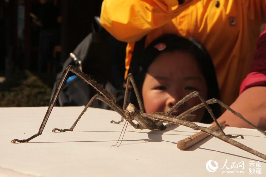 最新新闻事件_2016年国内重大社会热点新闻事