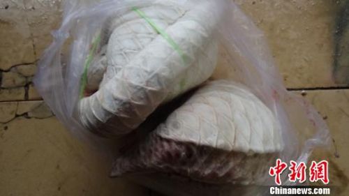 广西柳州警方查获疑似穿山甲等野生动物冻体若干