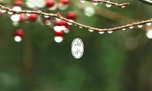 2017年最新雨水节气图片:清新春雨图片一览