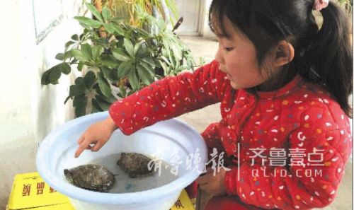 春节后妈妈外出打工 留守女童喊乌龟叫