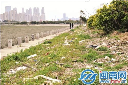 昨日，记者走访晋江南岸海岸带，垃圾还未清理
