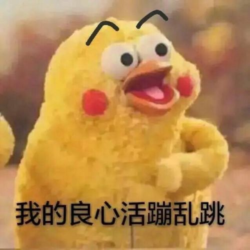 脆皮鸡鹦鹉兄弟你的良心不会痛吗表情包 我的良心活蹦乱跳的-闽南网
