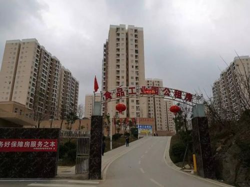 (老干妈附近的公租屋)