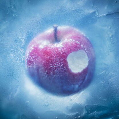 日剧《冬日夺爱》片头曲:冻えそうな季节から