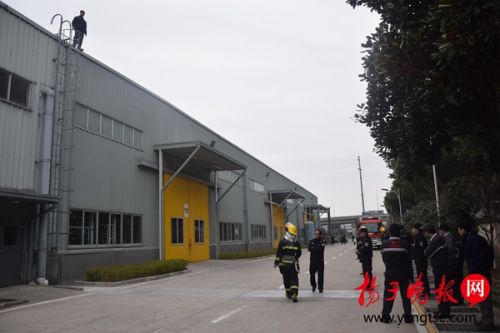 劝领导别插队被开 如何对领导说实话实在令人唏嘘