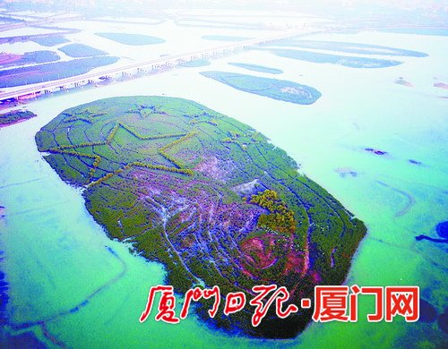 环东海域新城的下潭尾滨海生态湿地公园。(通讯员陈嘉新摄)