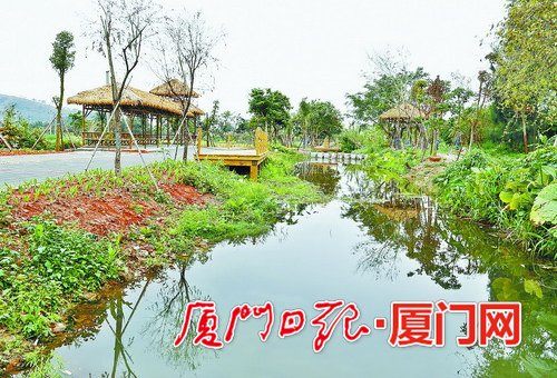 岛外溪流面貌发生可喜变化。