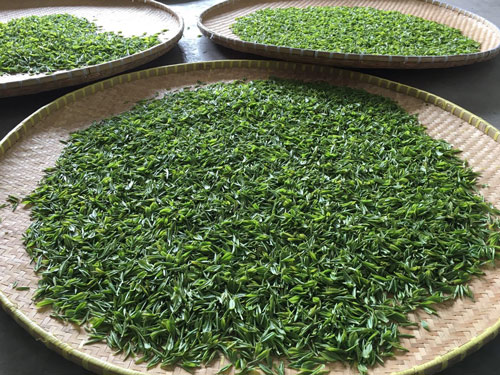 南京头锅雨花茶 南京雨花茶是什么茶哪个牌子好