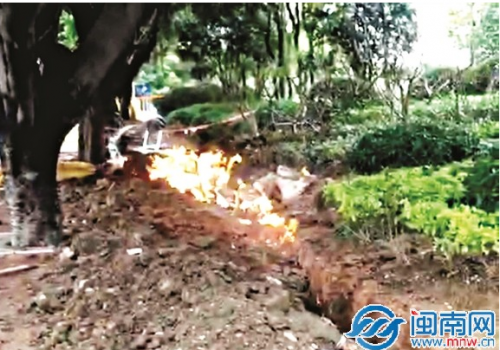 QQ截图20170327084656