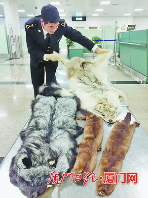 该留学生的行李箱内有4件动物整皮。